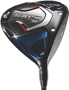 Big Bertha 71eSF9cnl8L. AC SX300 SY300 QL70 FMwebp